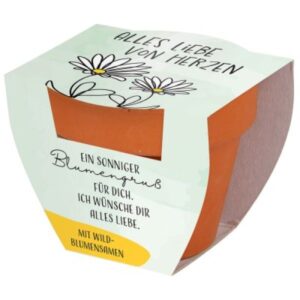 Blumenüberraschung: Alles Liebe von Herzen
