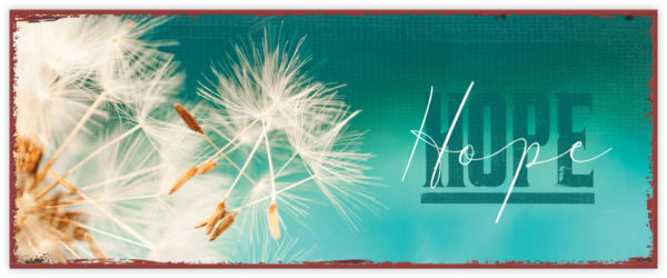 8984125-hope-01-standard_ph62tflvsvtady58