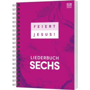 Feiert Jesus! 6 (Liederbuch Ringbuch)