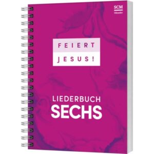 Feiert Jesus! 6 (Liederbuch DIN A4)