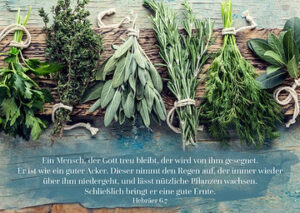 Postkarte: Ein Mensch, der Gott treu bleibt...