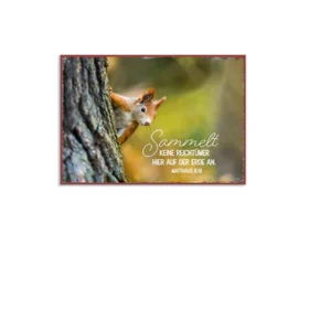 Metallschild: Sammelt keine Reichtümer hier auf der Erde an