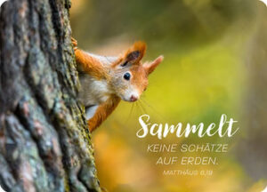 Postkarte Big Blessing: Sammelt keine Schätze auf Erden (XL Format)