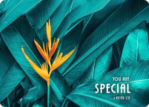 Postkarte Big Blessing: You are special (XL Format)