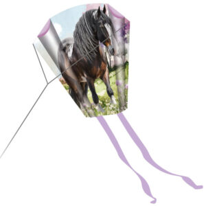 Taschendrache: Gottes Liebe trägt ... (Pferd)