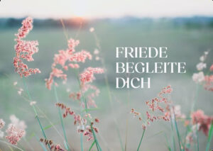 Postkarte: Friede begleite dich