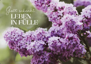 Postkarte: Gott schenkt Leben in Fülle