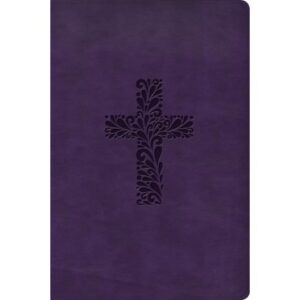 KJV Rainbow Study Bible (Purple, Leathertouch)