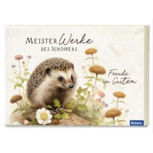 Postkartenbox: Meisterwerke des Schöpfers