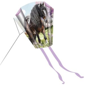 Taschen-Drachen: Gottes Güte trägt dich (Pferd)