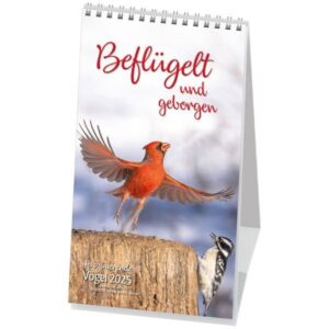 Postkartenkalender: Beflügelt und geborgen 2025