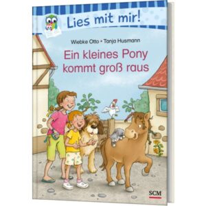 Wiebke Otto, Tanja Husmann - Ein kleines Pony kommt groß raus