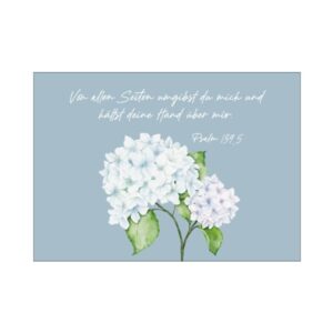Postkarte: Hortensie