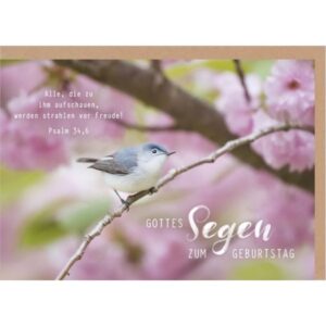 Faltkarte: Gottes Segen zum Geburtstag (Vogel)