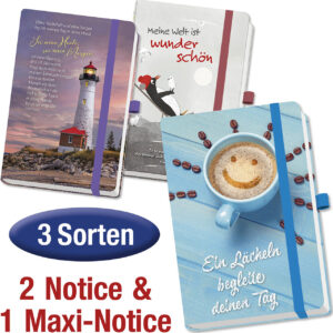 Paket: Notizbücher (3 Exemplare)