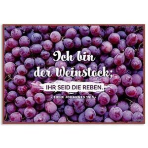 Metallschild klein: Weinstock
