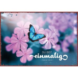 Metallschild klein: Einmalig