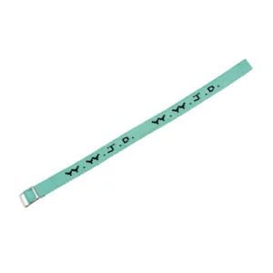 Armband: WWJD (gewebt, mintgrün)