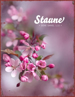 Metallschild: Staune