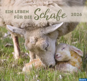 Wandkalender: Ein Leben für die Schafe 2026