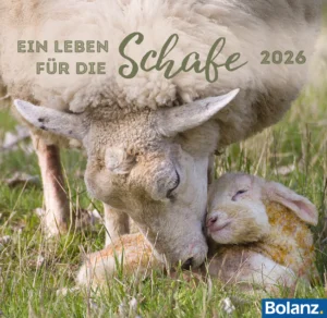 Tischkalender: Ein Leben für die Schafe 2026