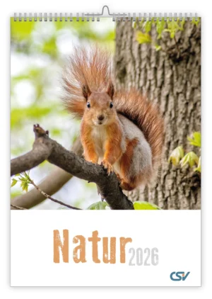 Wandkalender: Natur 2026