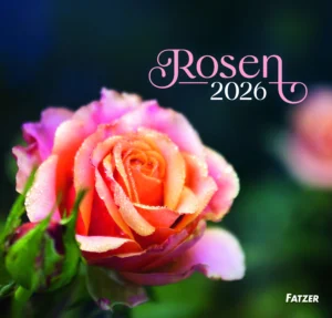 Wandkalender: Rosen 2026