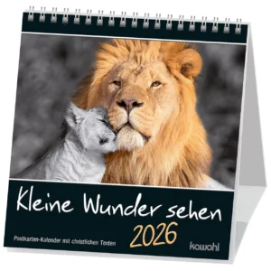 Postkartenkalender: Kleine Wunder sehen 2026