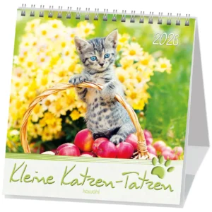 Postkartenkalender: Kleine Katzen-Tatzen 2026