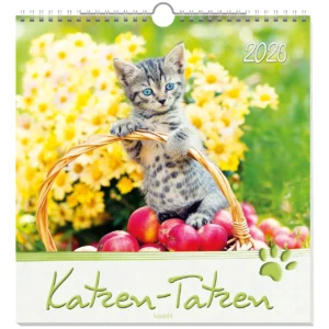 Wandkalender: Katzen-Tatzen 2026