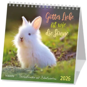 Postkartenkalender: Gottes Liebe ist wie die Sonne 2026