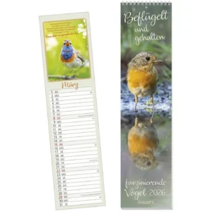 Streifenterminer: Beflügelt und gehalten 2026