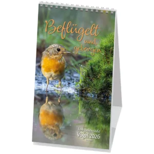 Postkartenkalender: Beflügelt und geborgen 2026