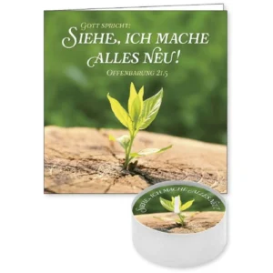 Lichtgruß: Jahreslosung 2026