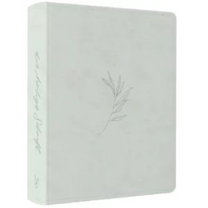 Jasmin Friesen (Illustr.) Schlachter - Schreibrand - LIEBEZURBIBEL Eden