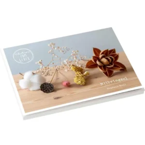 Postkartenbuch: Stephanie Brall - Mitbringsel