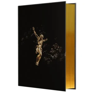 Hoffnung für alle. Die Bibel - Golden Jesus Edition