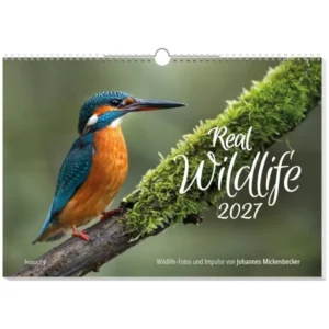 Wandkalender: Johannes Mickenbecker - Real Wildlife 2027