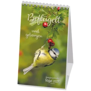 Postkartenkalender: Beflügelt und geborgen 2027